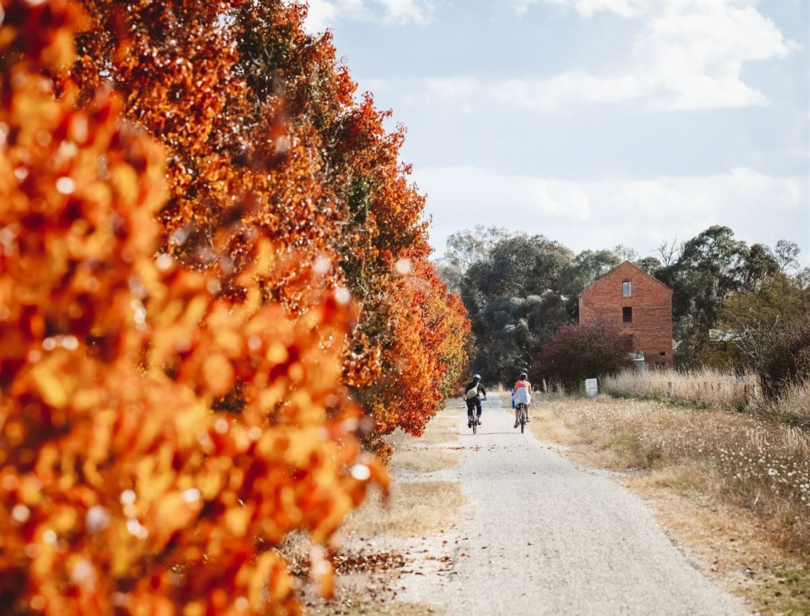 Couple riding along the Rail Trail with bursts of Autumn leaves lining the path