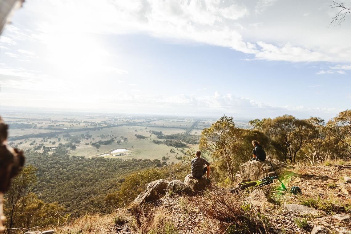 Warby Friend Lookout MTB