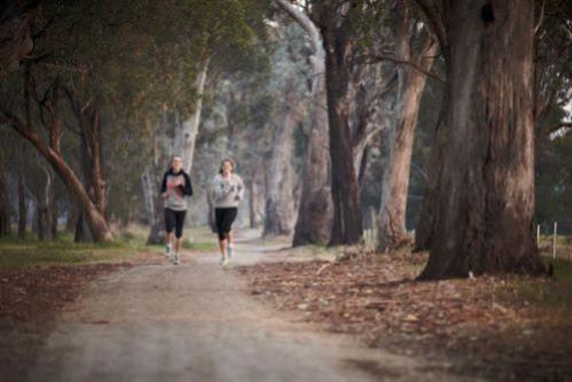 Two ladies jogging along River Red Gum lined walking track 