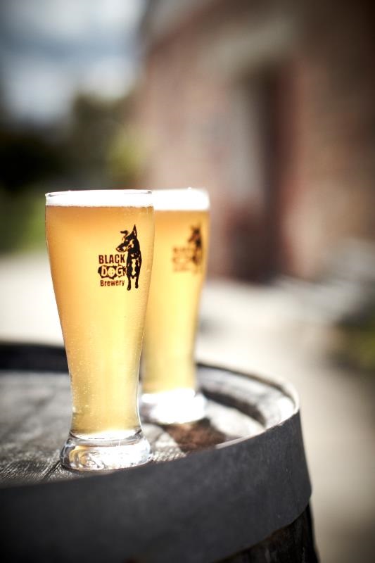 Black Dog Brewery